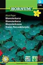 Bild Blomsterkrasse 'Blue Pepe', frö
