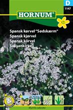 Bild Spansk körvel, frö