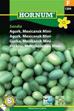 Bild Mexikansk Minigurka 'Sandia', frö