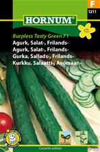 Bild Salladsgurka (Frilandsgurka) 'Burpless Tasty Green F1', frö