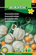 Bild Ananaskörsbär (Physalis), frö