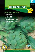 Bild Kronärtsskocka 'Gros Vert de Laon', frö