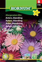 Bild Aster 'Margareten' Mix frö
