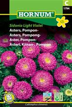 Bild Pomponaster 'Light Violet' frö