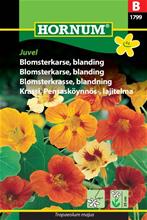 Bild Blomsterkrasse Mix 'Juvel' frö