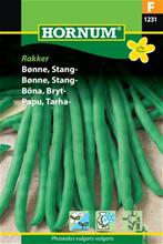 Bild Brytböna 'Rakker', frö