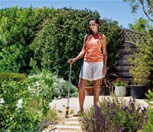 Bild Ogräsbekämp.stav Wonderweed