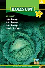 Bild Savoykål 'Vertus 2', frö