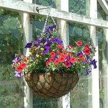 Bild Trådampel Rund 30 cm Svart