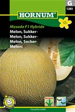 Bild Nätmelon 'Masada' frö