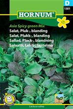 Bild Plocksallat 'Asian Spicy Green' frö