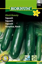 Bild Squash 'Black beauty' frö