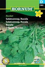 Bild Rucola 'Rocket' frö