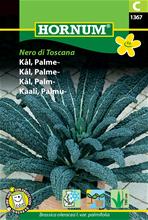 Bild Palmkål 'Nero di Toscana' frö
