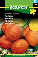Bild Rödbeta 'Burpees Golden', frö