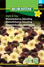 Bild Blomsterkrasse Night & Day mix, frö