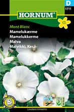 Bild Malva 'Mont Blanc' frö