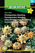 Bild Dekorationspumpa Mix 'Star' frö