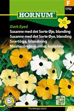 Bild Svartöga Mix 'Dark eyed' frö