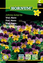 Bild Hornviol 'Johnny jump up' frö