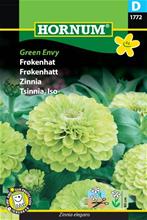 Bild Zinnia 'Green Envy' frö