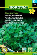 Bild Slätbladig Persilja 'Gigante d'Italia' frö
