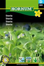 Bild Stevia frö