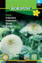 Bild Zinnia 'Grace' frö