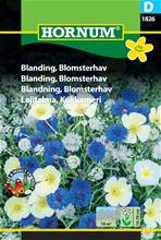 Bild Blomsterprakt Mix 'Blomsterhav' frö