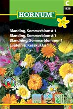 Bild Sommarblommor Mix 'Colourful' frö