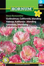 Bild Sömntuta 'Rosa Romantika' frö