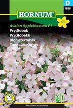 Bild Blomstertobak 'Avalon Appleblossom' F1 frö