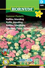 Bild Röllika Mix 'Summer Pastells' frö