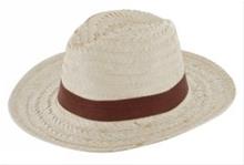 Bild Stråhatt Herr JR 61