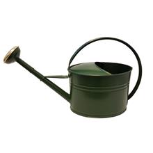 Bild Vattenkanna oval m stril mossgrön 7L