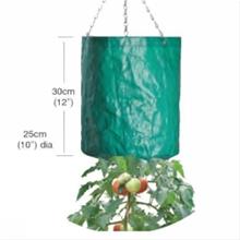 Bild 505149/Tomatodlingsväska- Upp och ner