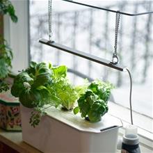 Bild Hydroponisk odling Harvy- 3 Presentfrp.