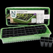 Bild Minidrivhus med 48 krukor