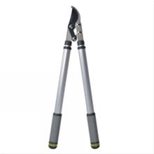 Bild Grensax, Papegoj m. teleskopskaft