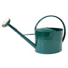 Bild Vattenkanna oval, Mörkgrön