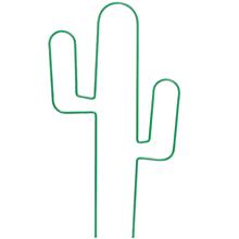 Bild Krukspaljé Cactus