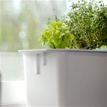 Bild Hydroponisk odling Harvy- 3, Vit