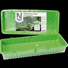 Bild Minidrivhus Large