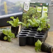 Bild Minipluggbrätte 3-p