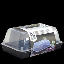 Bild Minipluggbrätten i odlingstråg med lock