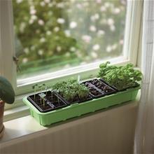 Bild Minidrivhus med 24 krukor