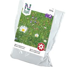 Bild Ängsblommor Mix 250g