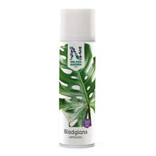 Bild Nelson Garden Bladglans 250ml