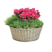 Bild Krukor på höjden