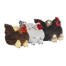 Bild Höna (liggandes) Vit